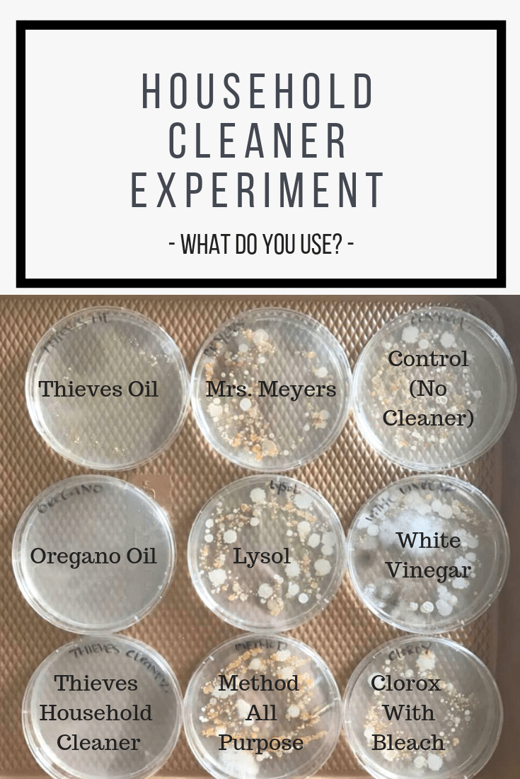 Learn more by clicking the link_ www.reallygreatsite.com (2)