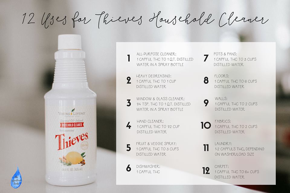 Thieves Cleaner Recipes.jpg