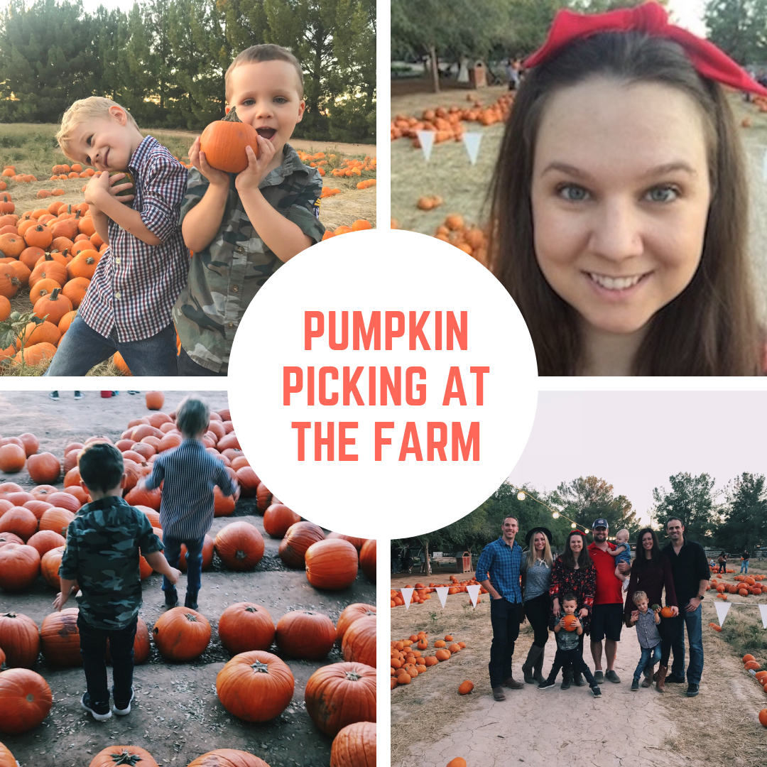Pumpkin Picking at the Farm