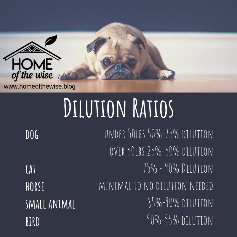 Dilution Ratios (1).png